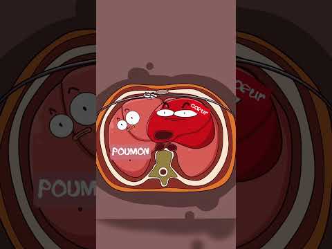 LA BARRE DE FER QUI SAUVE DES VIES ! 😂🚨