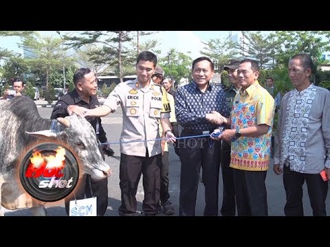 Hot Shot 09 Agustus 2019 - Surya Citra Media Serahkan Hewan Qurban