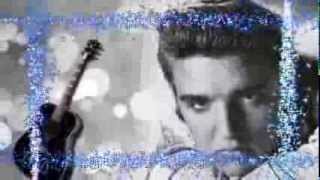 Elvis Presley-A Mess Of Blues+lyrics