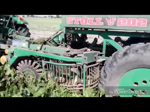 Zuckerrübenernte 2017