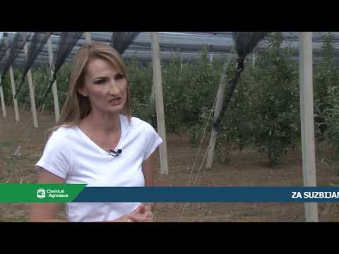 Suzbijanje jabukinog smotavca