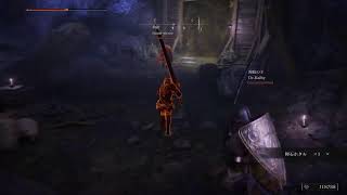 ELDEN RING 初見でじくっり楽しむ＃14