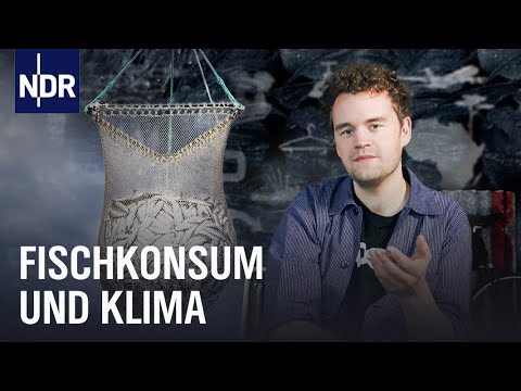 Vorschaubild Video