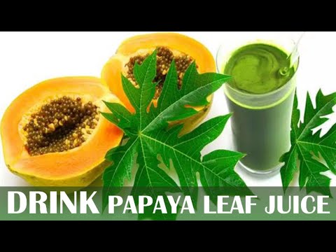 , title : 'If You Drink Papaya Leaf Juice everyday, Here's What Will Happen to You'