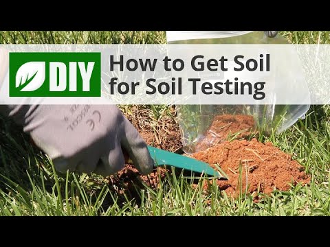  How to Take A Soil Sample for Soil Testing Video 