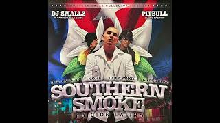 Ying Yang Twins ft. Pitbull - Salt Shaker (Remix)