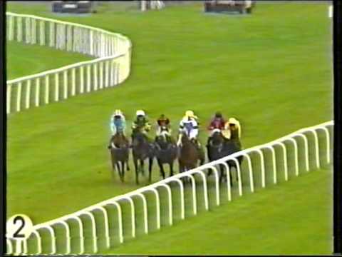 1998 - Curragh - Blenheim Stakes (Listed) - Immovable Option