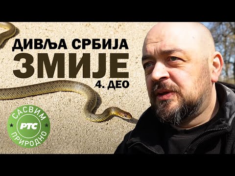 Sasvim prirodno - Divlja Srbija 4. deo: Zmije (Jovan Memedović)