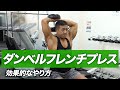 ダンベルフレンチプレスの効果的なやり方 | 上腕三頭筋「長頭」を重点的に鍛える【ビーレジェンド プロテイン】