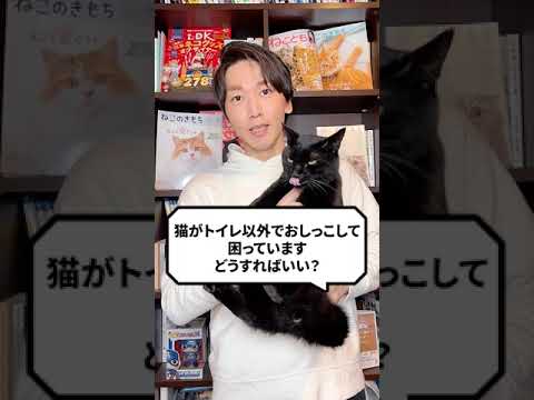 猫が自宅でおしっこをしないようにする方法