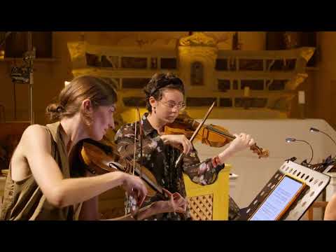 Heinrich Biber, Harmonia Artificiosa- Ariosa : Partia V : Passacaglia  | Camerata Figarella