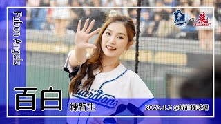 【台湾チア】百白 / Fubon Angels練習生 / 2023.4.3 林哲瑄 應援曲 [中文歌詞]