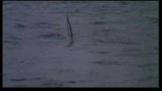 CRUEL JAWS (1995) Trailer