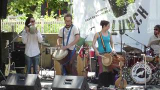 The Ragbirds & Evan Holodnick (1 of 2)