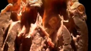 The Human Body vs Exhumed "Anatomy is destiny"