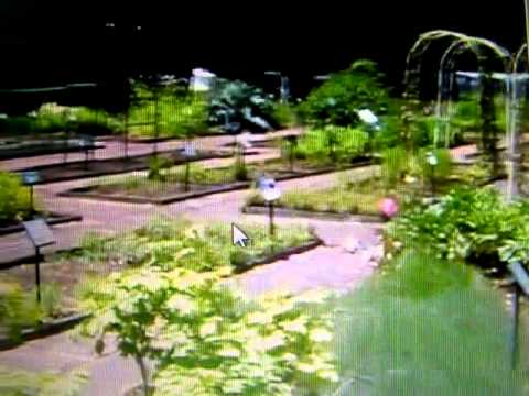 体育学科 昭和薬科大学　動画　薬用植物の宝庫！