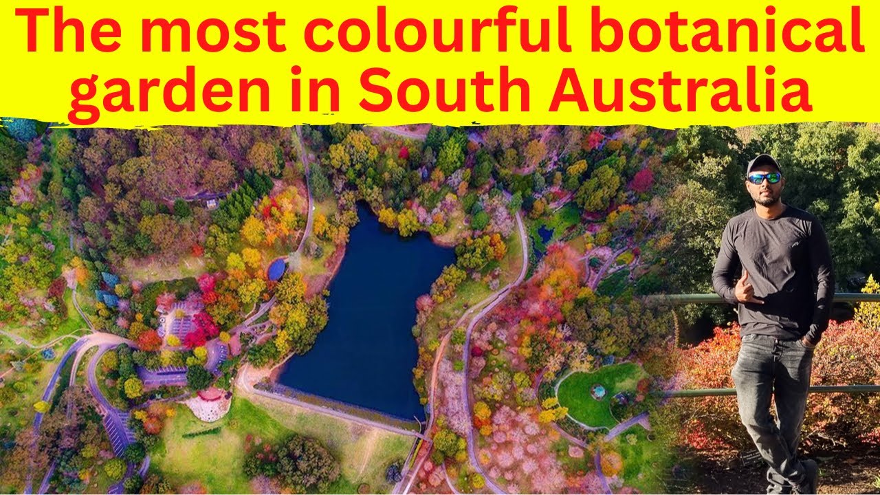 Experience a captivating virtual stroll through Mount Lofty Botanic Garden.