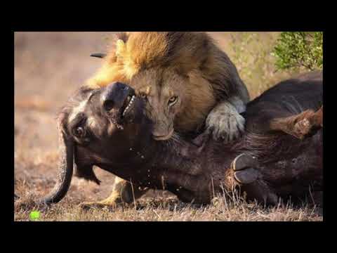 Jake Walker-"Kill Dat" Freestyle Prod. by Beast Inside Beats