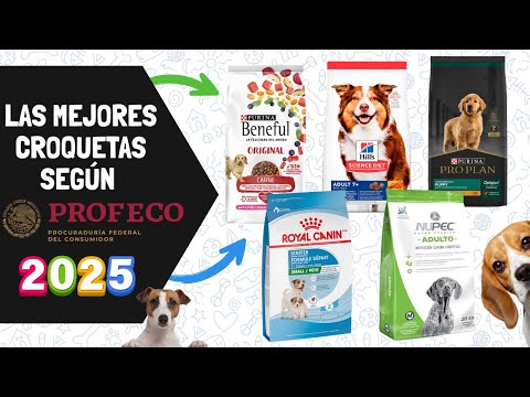 THE BEST KROQUETTES 🐶 FOR YOUR DOG IN 2025 ACCORDING TO PROFECO