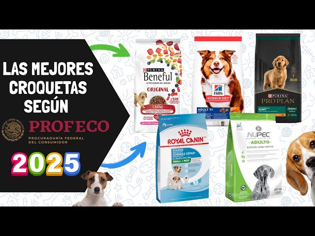 Vídeo relacionado con VITALIPETS Queso de Yak para Perros, Talla XL 15 a 20 Kg, Lote de 2