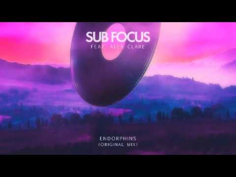 Sub Focus feat Alex Clare - Endorphins LYRICS HD