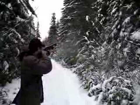 Albert and his boomstick