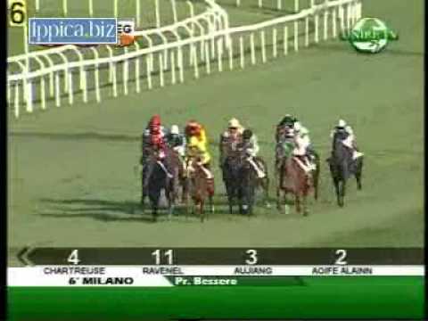 Premio Pietro Bessero 2010 (LISTED RACE)