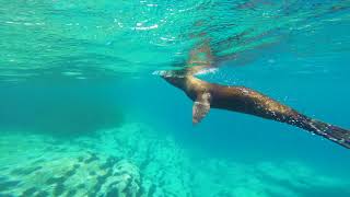 Narooma - Summer 2018