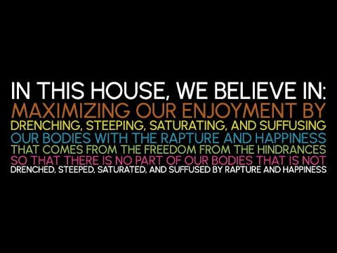 The Brain as a Non-Linear Optical Computer: Reflections on a 2-Week Jhana Meditation Retreat