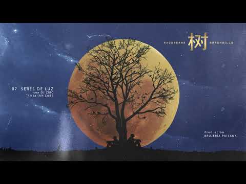 07 SERES DE LUZ con DJ ZIRO