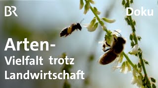 Arten-Vielfalt trotz Landwirtschaft