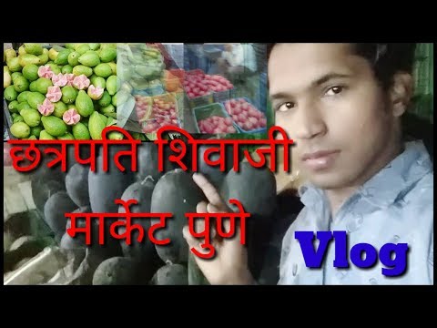 download lagu mp3 mp4 Avocado In Pune, download lagu Avocado In Pune gratis, unduh video klip Avocado In Pune