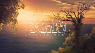 Download lagu Silent bgm || Capital Of Bgm mp3