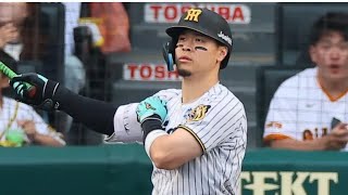 ⚡初球で終わった…雨の甲子園を切り裂く第13号！佐藤輝明が“別格すぎる一撃”🔥#佐藤輝明 #阪神タイガース #ホームラン #プロ野球 #交流戦 #甲子園 #日本ハムファイターズ #野球ハイライト