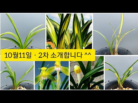 유튜브 썸네일