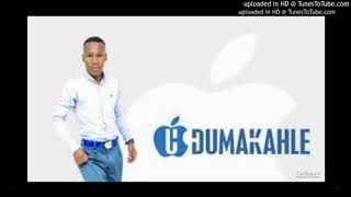 Download lagu Dumakahle - Esithenjini mp3