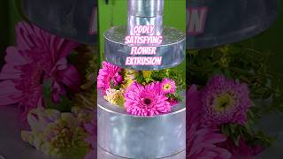POV: Spring at Hydraulic Press Channel 😭💐