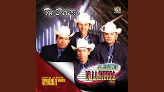 Paloma piquito de oro