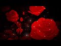 Disguise Motionless In White Slowed Reverb