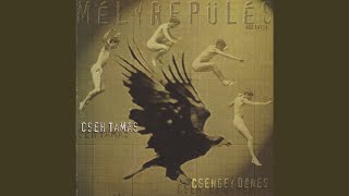 Mélyrepülés (Sötét Ló vallomást tesz)