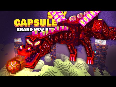 BEST WAY TO KILL THE CHAOS DRAGON! EP17 | Minecraft Sky Capsule Project  [Modded Questing SkyBlock]