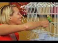 Perfect Polly Pet Official As Seen On TV Commercial