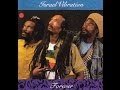 ISRAEL VIBRATION - Discriminatory Dub (Forever)