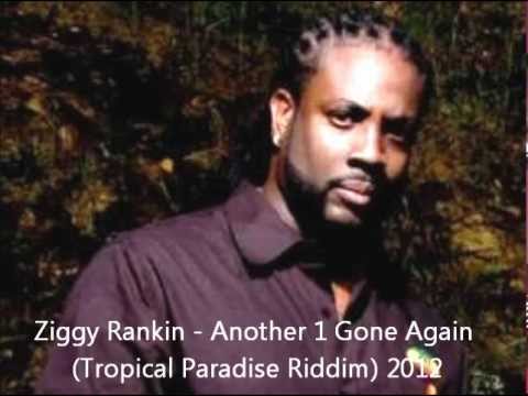 Ziggy Rankin - Another 1 Gone Again (Tropical Paradise Riddim) 2008