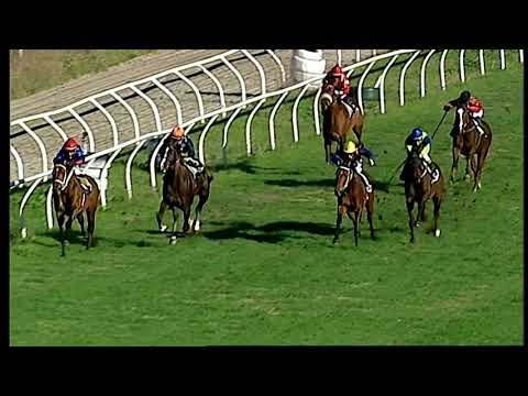 Napoli Galoppo 14/12/2021 - 2ª corsa