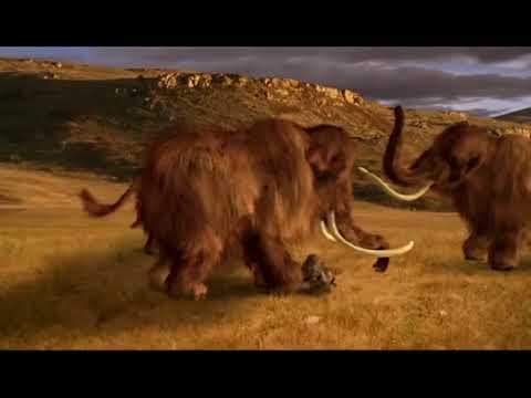 Land Of The Mammoth Mating Season