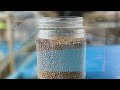 Modern Day Aquaculture Using BRTSys IoTPortal And Sensors