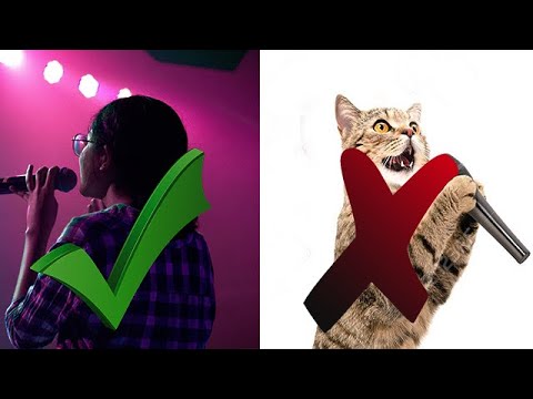 Reggae Back Up Vocals