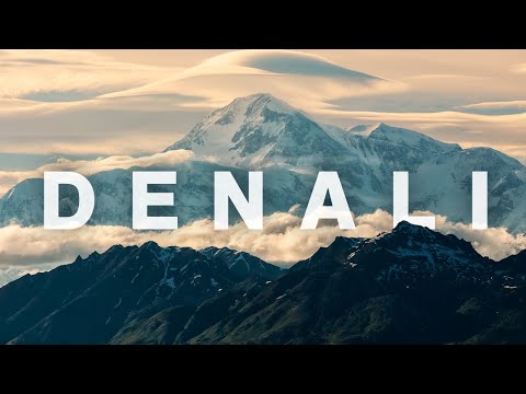 MUST DO in Denali National Park | Wildlife, Hikes, Park Bus, & History