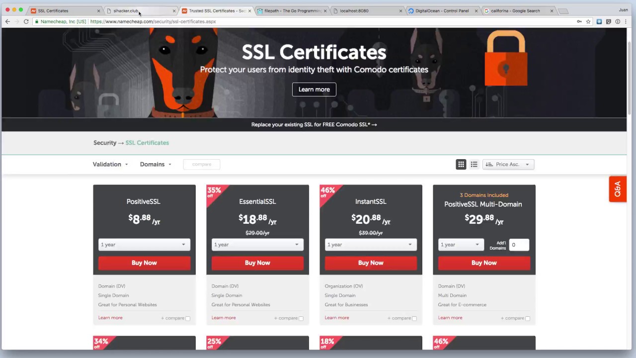 Setup HTTPS with SSL and Golang